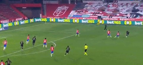 1612393696414087862.gif 1612393696414087862.gif